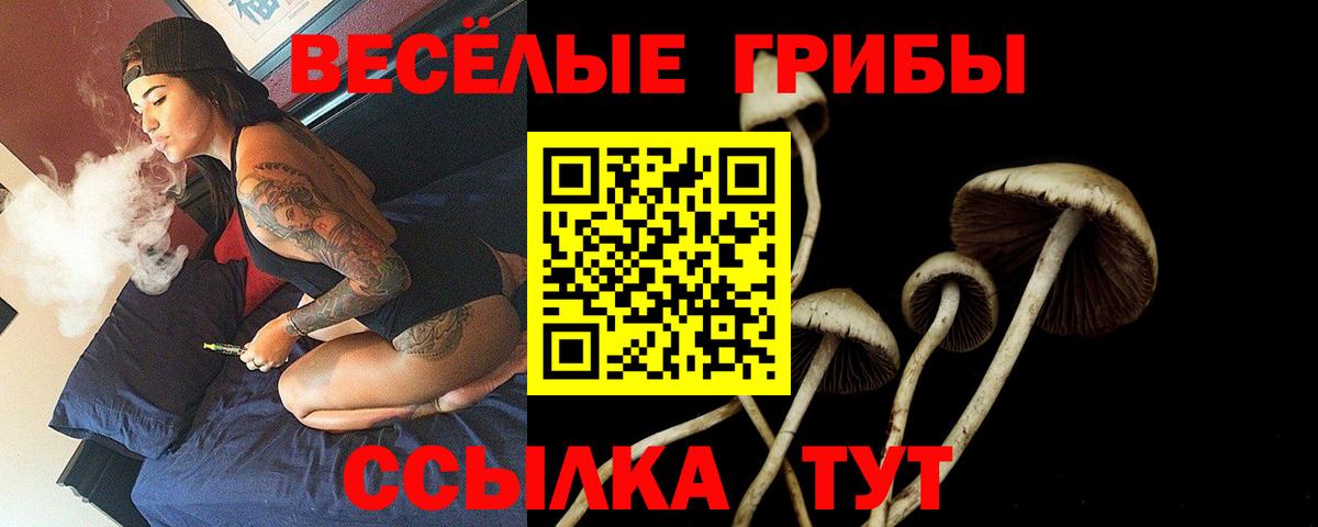 Семилуки  Псилоцибиновые грибы GOLDEN TEACHER  Вход с VPN 